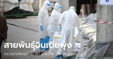 กรมวิทย์ฯ เผยผลตรวจแคมป์คนงานก่อสร้าง พบติดโควิดสายพันธุ์อินเดีย 36 ราย!