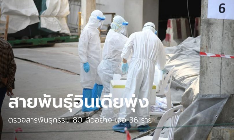 กรมวิทย์ฯ เผยผลตรวจแคมป์คนงานก่อสร้าง พบติดโควิดสายพันธุ์อินเดีย 36 ราย!
