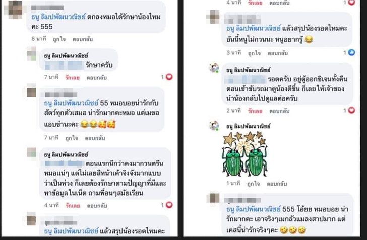 หนุ่มใจบุญช่วยชีวิต “แมลงสาบ” ถูกเหยียบเจ็บสาหัส รีบพาส่ง รพ.สัตว์ หมอรักษาจนรอด