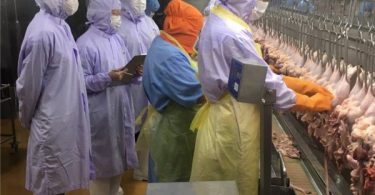 No COVID-19 contamination of chicken meat – Thailand’s Livestock Dept.