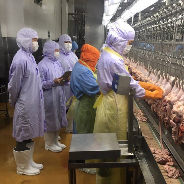 No COVID-19 contamination of chicken meat – Thailand’s Livestock Dept.