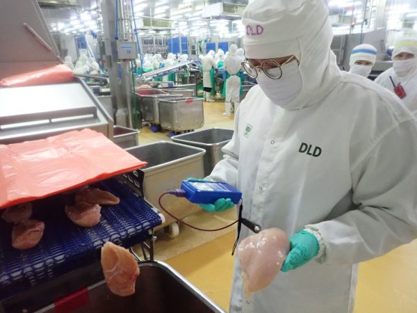 391 poultry plant workers in Saraburi infected with COVID-19