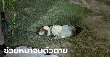 สุดสลด อดีต ผอ.โรงเรียน กระโดดสระบัวช่วยหมา รากบัวพันขาจมน้ำดับต่อหน้าเมีย