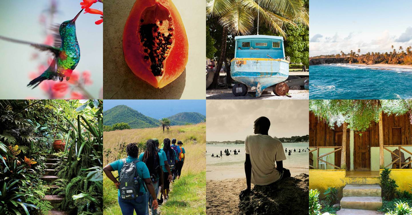 Sustainable travel in the Caribbean: Where to go