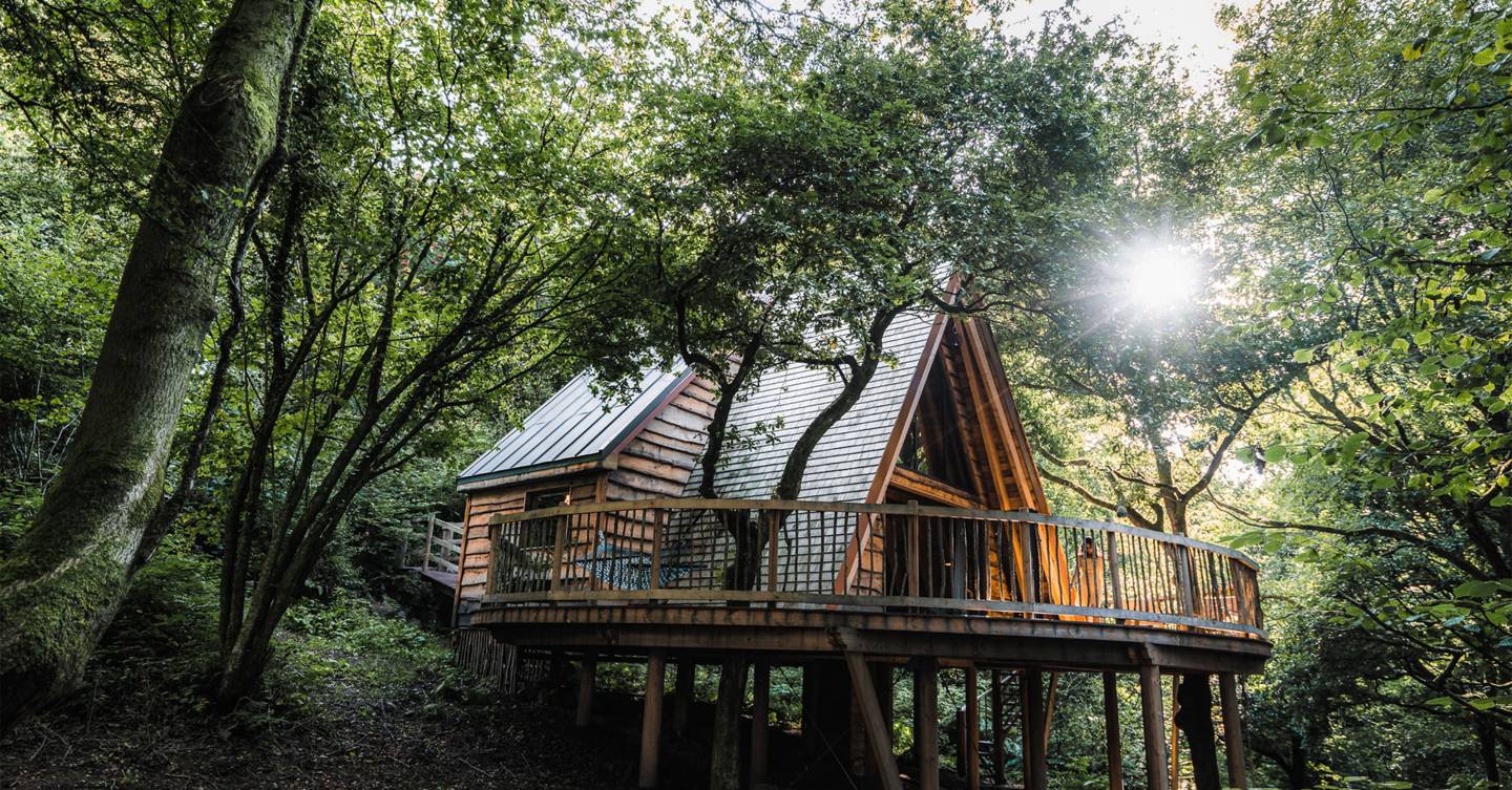Treehouse holidays in the UK: the coolest treehouse Airbnbs