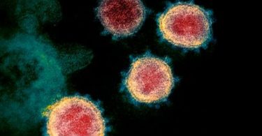 Delta variant in Thailand may replace Alpha in few months, says Medical Science Dept.