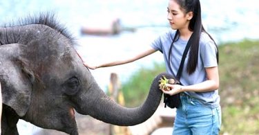 ยกระดับความปัง!! “ติ๊ต๊ะ ชญานิศ” ก้าวสู่บทนางเอกเต็มตัวในละคร “แก่นแก้ว” ช่อง 3