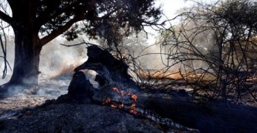 Israel-Gaza violence erupts for first time since end of last month’s fighting