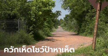 ผวาทั้งหมู่บ้าน ชายโรคจิตไล่ปล้ำคนหาเห็ด เหยื่อโผล่อีก 2 พบพิรุธเลือกแต่หญิงสูงวัย