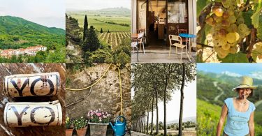 Where to find the best natural wine in France
