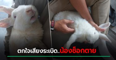 โรงงานกิ่งแก้วระเบิด สนั่นหวั่นไหว เจ้าของบ้านเศร้า กระต่าย ตกใจช็อกตายหมดบ้าน