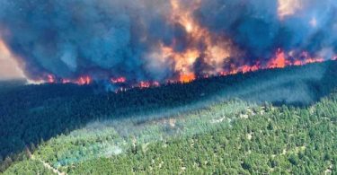 Deaths surge in U.S. and Canada from worst heatwave on record