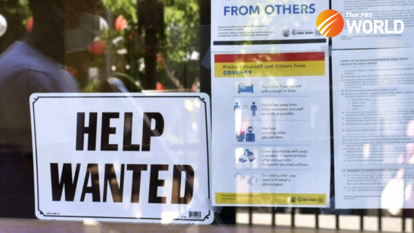 Pre-pandemic global employment levels not expected until 2023 – OECD