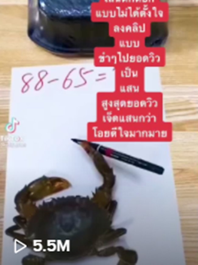 ปังมาก โพสต์คลิปขำๆ ปูเขียนเลขลงกระดาษ คนแห่ตีหวย ยอดวิวทะลุ 5.5 ล้าน