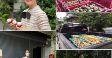 แฟนๆ แห่ชื่นชม “แอน ทองประสม” ช่วยรับซื้อมังคุดชาวสวนจำนวนหลายตัน