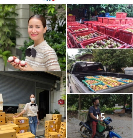 แฟนๆ แห่ชื่นชม “แอน ทองประสม” ช่วยรับซื้อมังคุดชาวสวนจำนวนหลายตัน