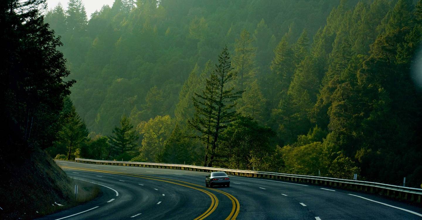 Northern California: what to do and where to stay