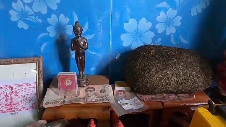 พ่อค้าอวดโฉม “อ้วกหมูป่า” บูชามานาน 20 ปี ขอโชคลาภได้สมใจ กี่ล้านก็ไม่ขาย