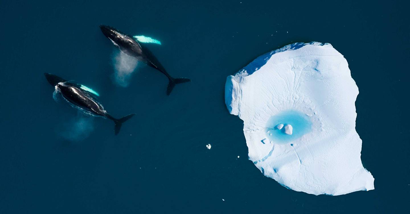 10 things you can do now to save our planet