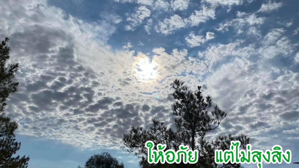 ให้อภัย แต่ไม่สุงสิง
