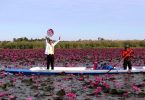 The Red Lotus Sea in Udon Thani is open for some Winter Magic