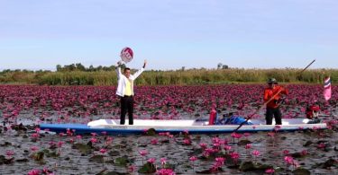 The Red Lotus Sea in Udon Thani is open for some Winter Magic