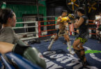 Learning Muay Thai Can Allow Visitors to Stay in Thailand Longer