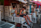 Air-Conditioning Is in Short Supply as Asia Swelters